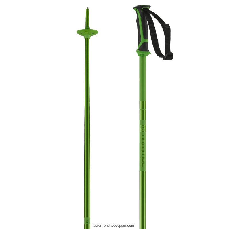 bastones alpinos hombre - arctic Salomon 00B0PZ1258 verde