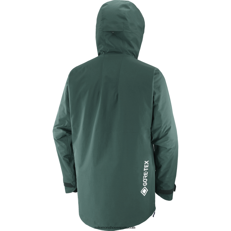 Chaqueta con capucha y aislamiento para hombre - Gravity gore-tex anorak Salomon 00B0PZ557 pino ponderosa/cielo nocturno
