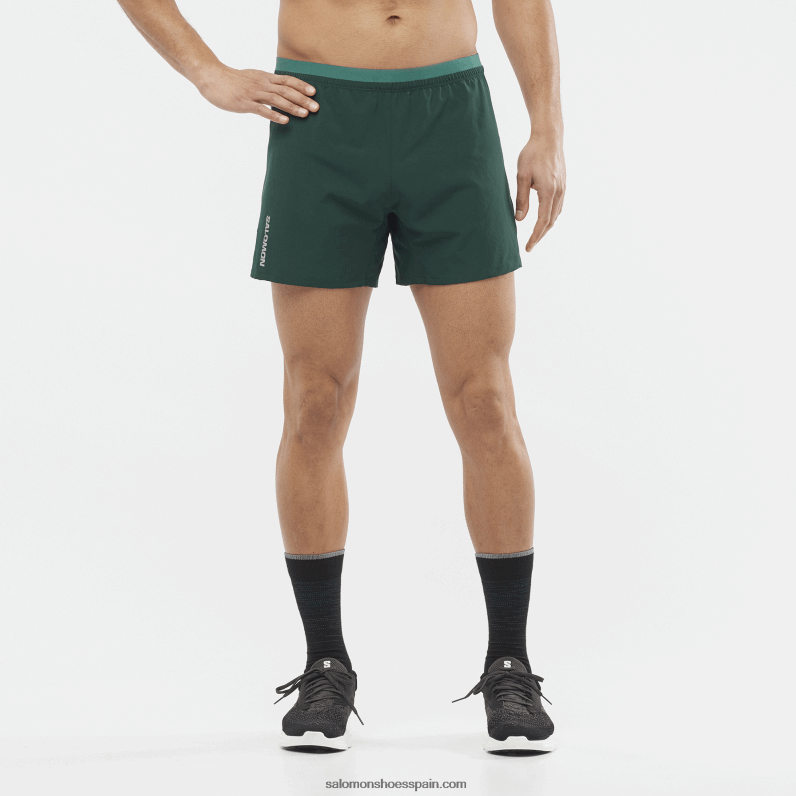 pantalones cortos de hombre - cruz 5 Salomon 00B0PZ274 Pino ponderosa