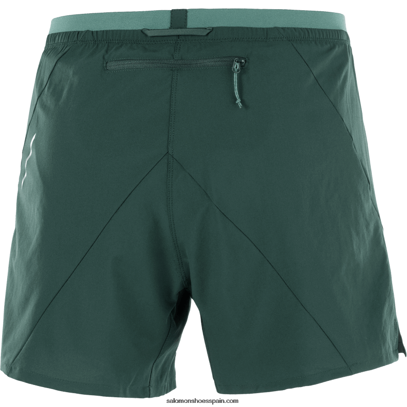 pantalones cortos de hombre - cruz 5 Salomon 00B0PZ274 Pino ponderosa