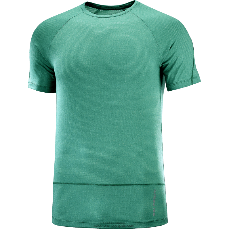 camiseta de manga corta para hombre - cross run Salomon 00B0PZ241 pacífico/brezo