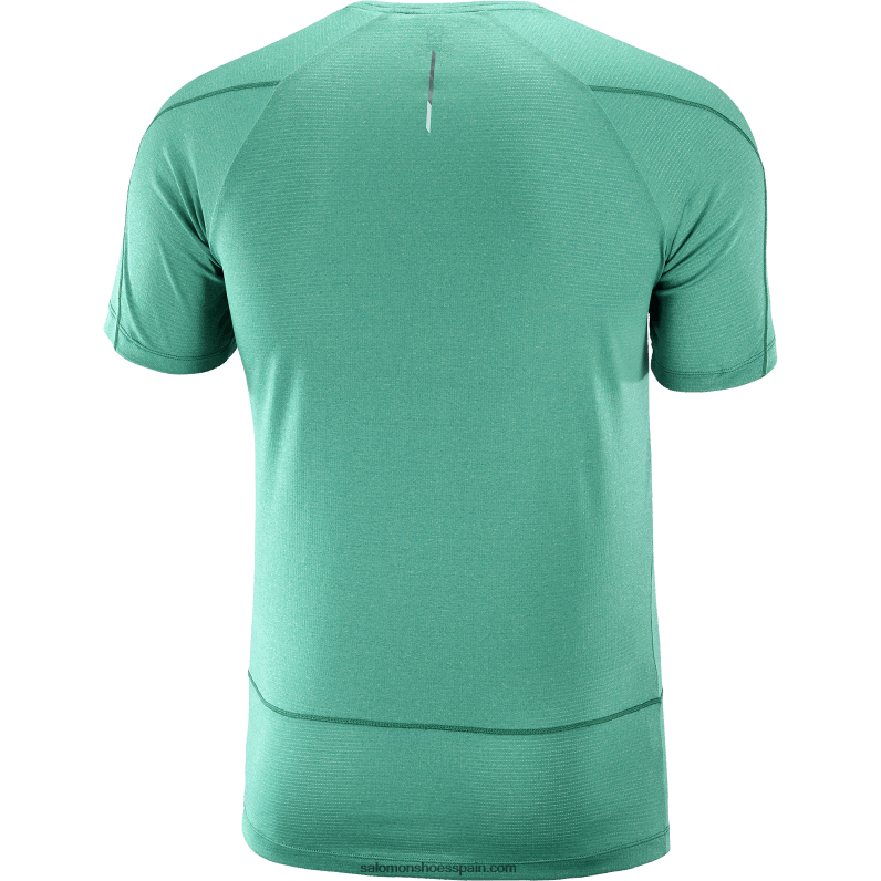 camiseta de manga corta para hombre - cross run Salomon 00B0PZ241 pacífico/brezo