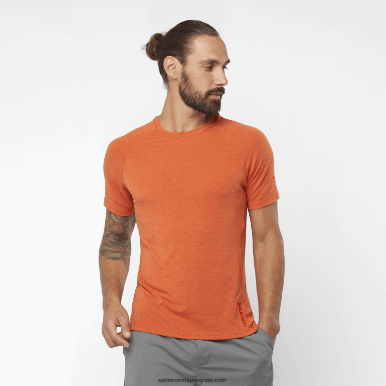 camiseta de manga corta para hombre - runlife Salomon 00B0PZ1199 ocre quemado/brezo