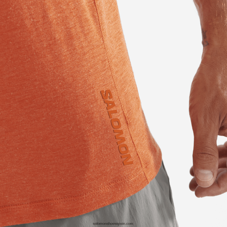 camiseta de manga corta para hombre - runlife Salomon 00B0PZ1199 ocre quemado/brezo