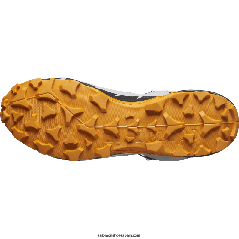 Botas de senderismo para hombre - Cross Hike 2 Mid Gore-Tex Salomon 00B0PZ37 gaviota/mermelada/negro