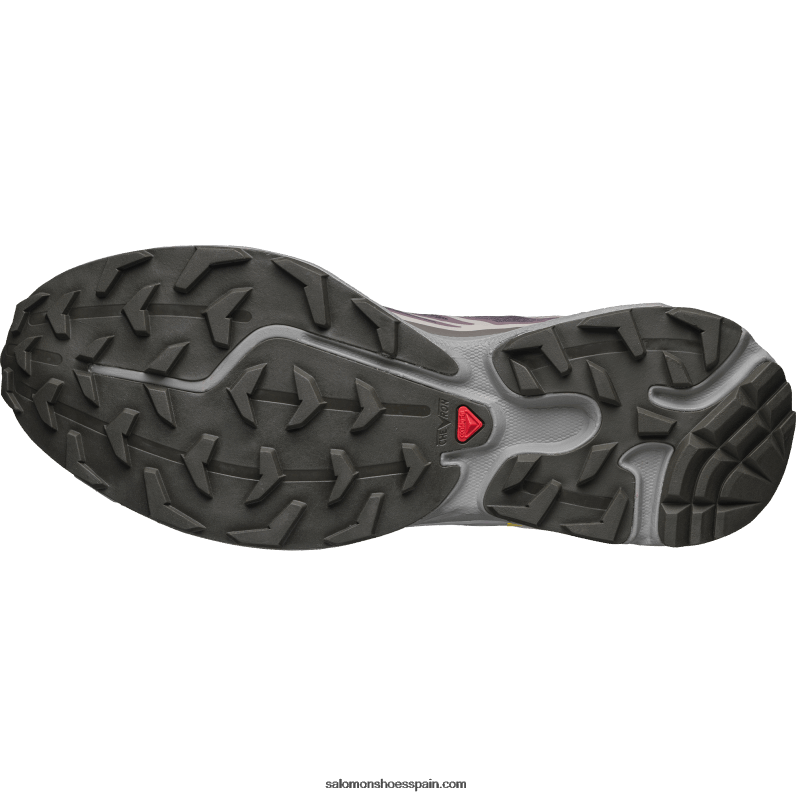 zapatos deportivos de hombre - xt-6 Salomon 00B0PZ79 paisaje lunar/gatito ciruela/gaviota