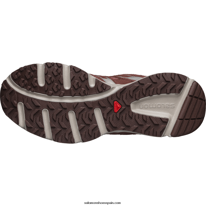 zapatos sportstyle para hombre - ante x-mission 4 Salomon 00B0PZ166 paisaje lunar/jengibre silvestre/chocolate amargo ltr