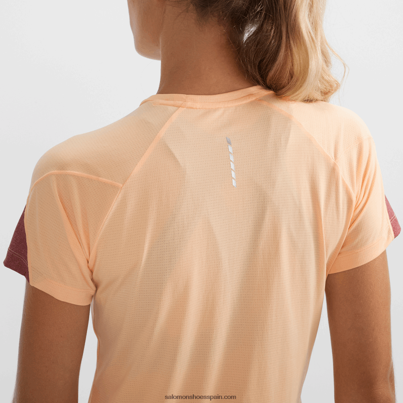 camiseta de manga corta para mujer - cross run Salomon 00B0PZ891 hielo de albaricoque/brezo/cabernet