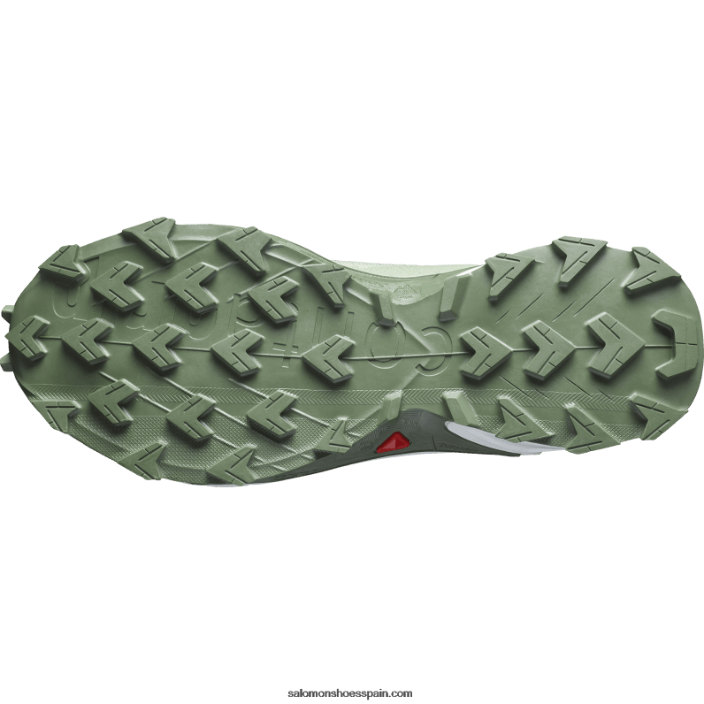 zapatillas de running para mujer - alphacross 4 gore-tex Salomon 00B0PZ1531 salvia del desierto/blanco/corona de laurel