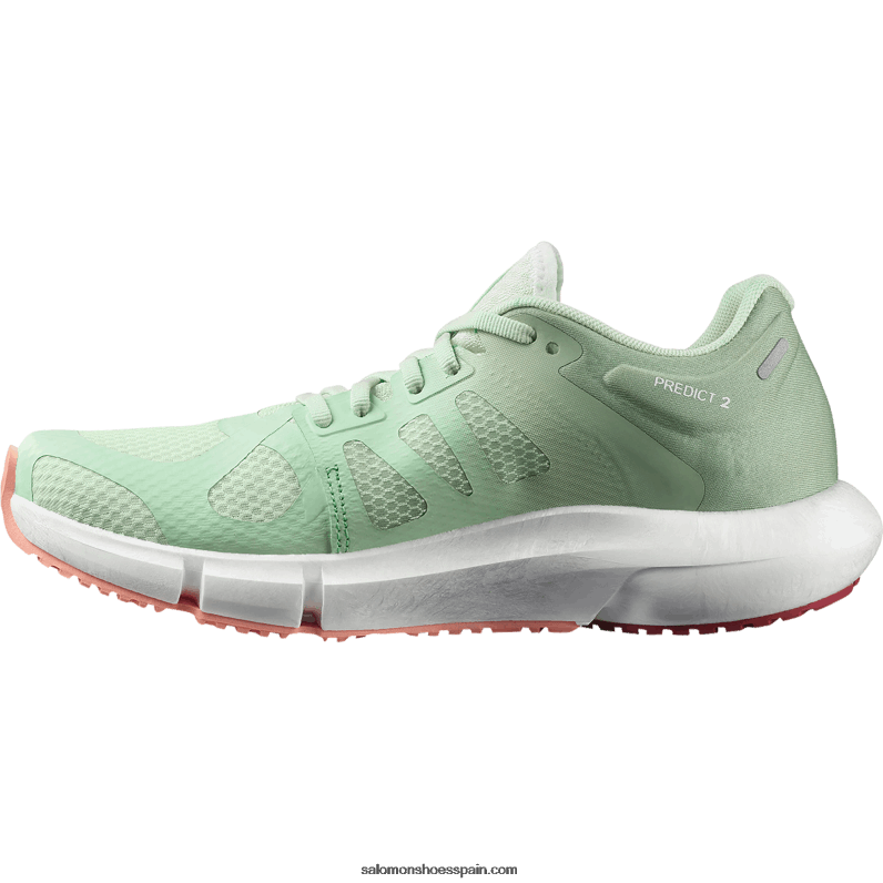 zapatillas de running para mujer - predecir 2 Salomon 00B0PZ755 aerosol/verde granito/dalia en flor