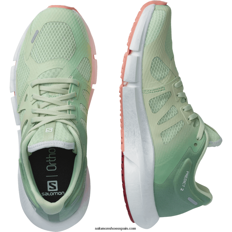 zapatillas de running para mujer - predecir 2 Salomon 00B0PZ755 aerosol/verde granito/dalia en flor